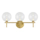 Iissa 3-Light Vanity Light