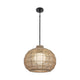 Markis 1-Light Indoor/Outdoor Pendant