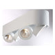 Nymark 3-Light LED Surface Mount