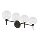 Iissa 4-Light Vanity Light