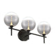Iissa 3-Light Vanity Light