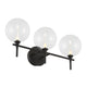 Iissa 3-Light Vanity Light