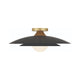Welsh 1-Light LED 18" Sconce