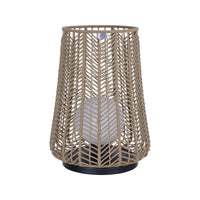Elice 1-Light Indoor/Outdoor Accent Lamp