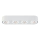 Nymark 4-Light LED Surface Mount
