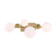 Vine Vanity Light 4-Light
