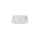 Nymark 2-Light LED Surface Mount