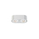 Nymark 2-Light LED Surface Mount