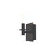 Torna 1-Light LED Sconce