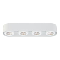 Nymark 4-Light LED Surface Mount