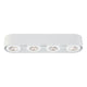 Nymark 4-Light LED Surface Mount