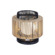 Aden 15.5" Indoor/Outdoor Accent Lamp