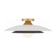 Welsh 1-Light LED 18" Sconce