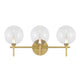 Iissa 3-Light Vanity Light
