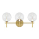 Iissa 3-Light Vanity Light