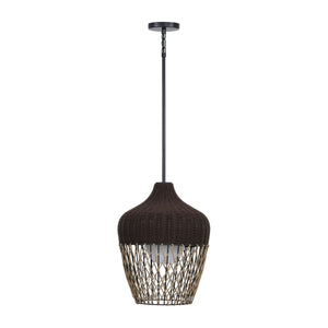 Hannha 1-Light Indoor/Outdoor Pendant