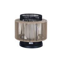 Aden 15.5" Indoor/Outdoor Accent Lamp