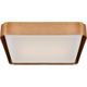 Precision 20" Square Flush Mount