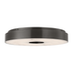 Wyllis 18 Flush Mount