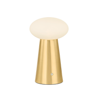 Cashel Rechargeable Table Lamp