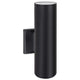 Viking 2-Light Wall Sconce