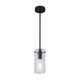 Jardin 1-Light Mini Pendant