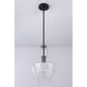 Parkwood 1-Light Pendant