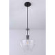 Parkwood 1-Light Pendant