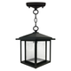 Warren 1-Light Outdoor Pendant