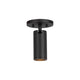 Lorna 6" (2" Dia.) LED Adjustable Ceiling Mount