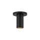 Lorna 4" (2" Dia.) LED Ceiling Mount