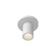 Lorna 4" (2" Dia.) LED Ceiling Mount