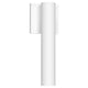 Lorna 12" (2" Dia.) LED Wall Sconce