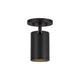 Lorna 6" (3" Dia.) LED Adjustable Ceiling Mount