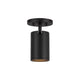 Lorna 6" (3" Dia.) LED Adjustable Ceiling Mount