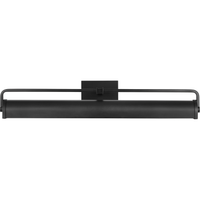 Leonard 25" Picture Light