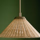 Bekah 18" 1-Light Convertible Pendant