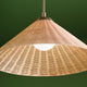 Bekah 24.25" 1-Light Convertible Pendant