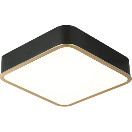 Ainslay 12" Square Ceiling Mount