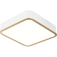 Ainslay 12" Square Ceiling Mount