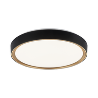 Alamus 1-Light Ceiling Mount