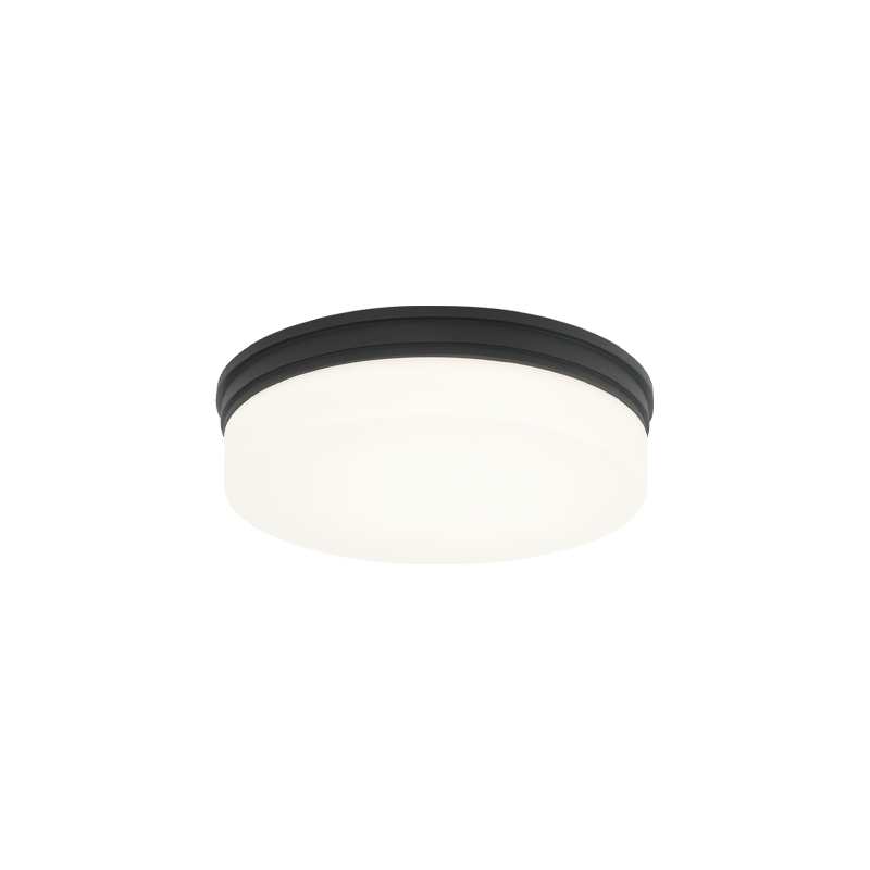 Circian 1-Light Flush Mount