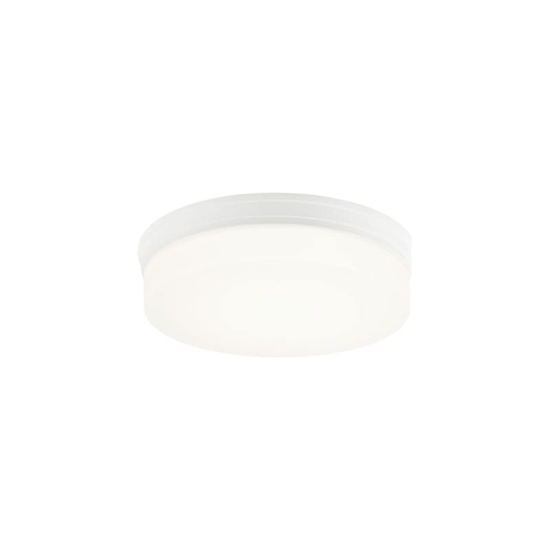 Circian 1-Light Flush Mount