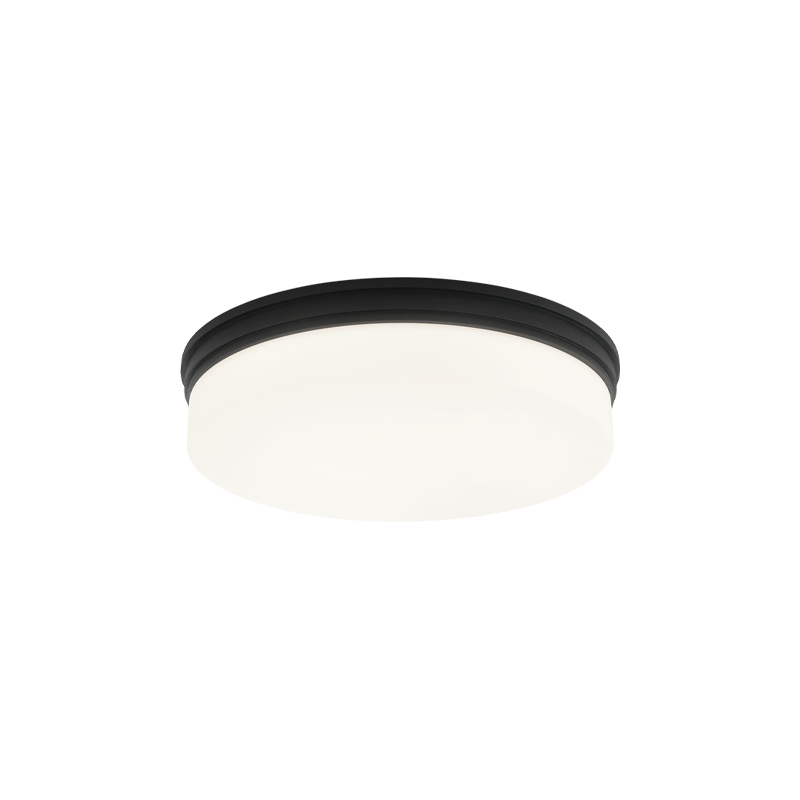 Circian 2-Light Flush Mount