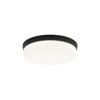 Circian 2-Light Flush Mount