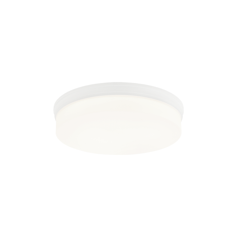 Circian 2-Light Flush Mount