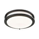 Igo 1-Light Ceiling Mount