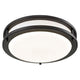 Igo 1-Light Ceiling Mount
