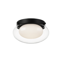 Caspian 1-Light Flush Mount
