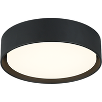 Ezra 13" Ceiling Mount